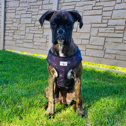 Adjustable Dog Harness | Saskatchewan Dog Harness
