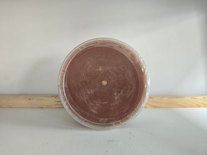 Jaggery