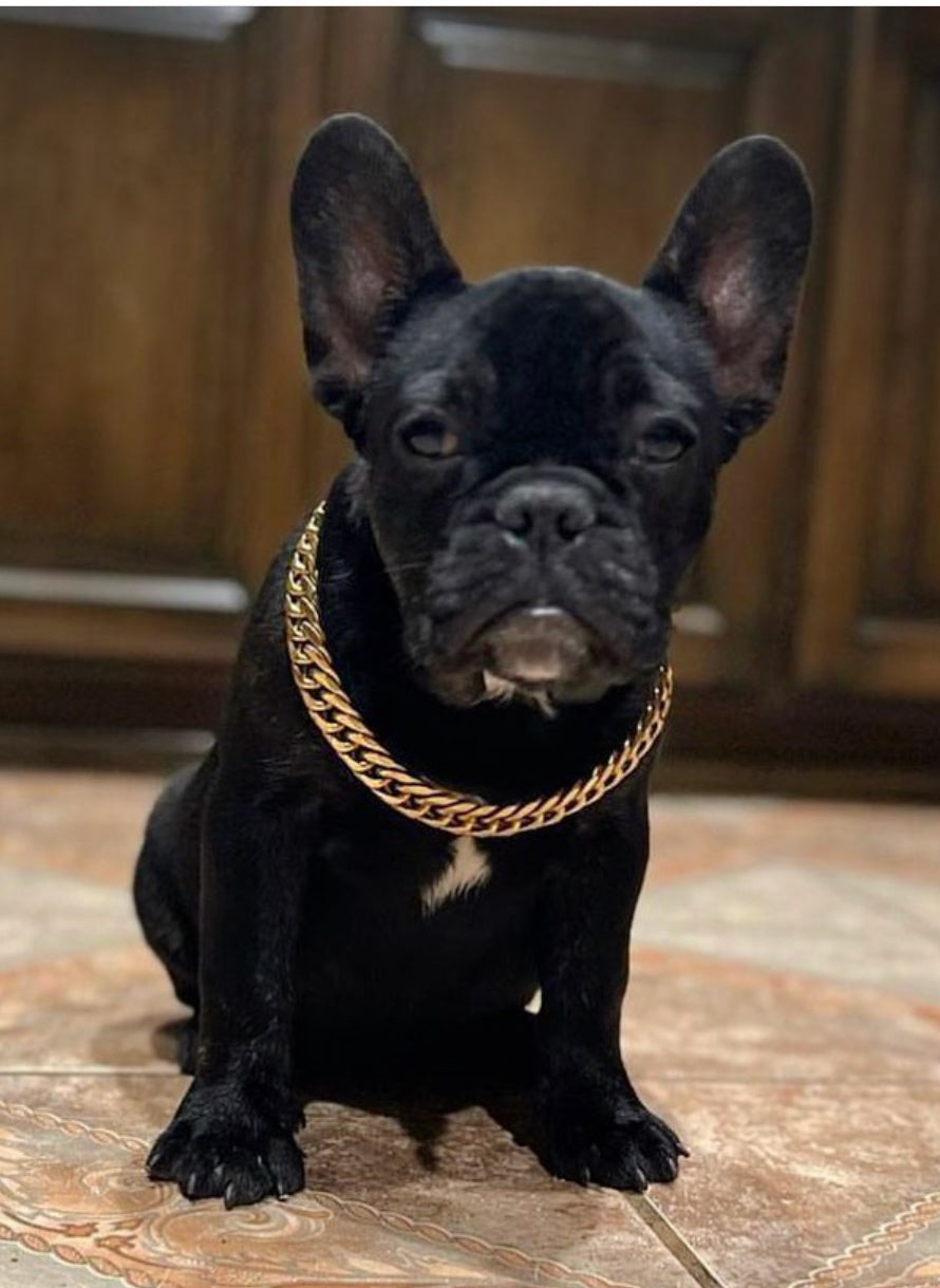 Cuban Chain Dog Necklace – Luxury Chain Accessory for Dogs