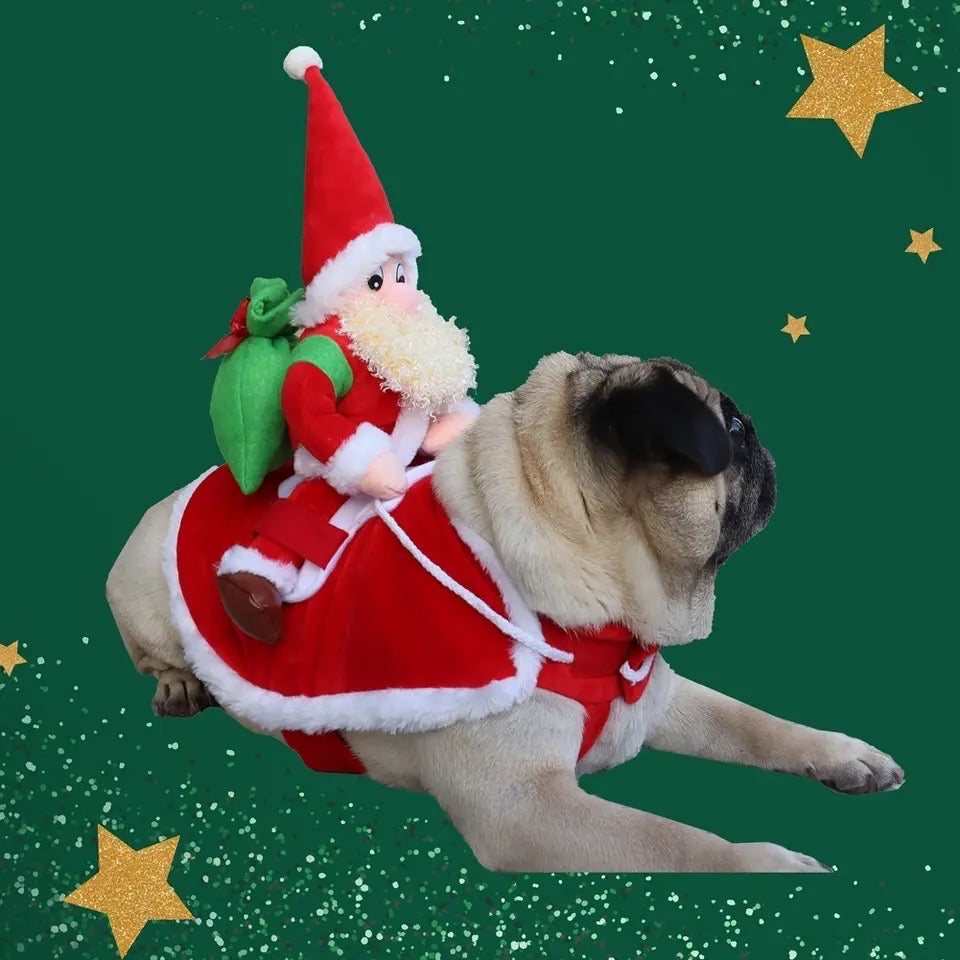 Sleigh Santa Dog Christmas Costume | Holiday Outfit