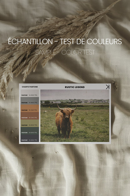 RUSTIC LEGEND, Oeuvre sur toile étirée