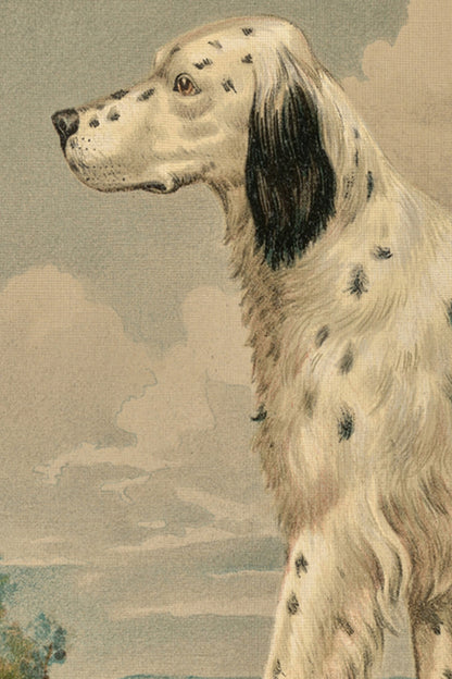 FAITHFUL COMPANION, CADRE VINTAGE OR