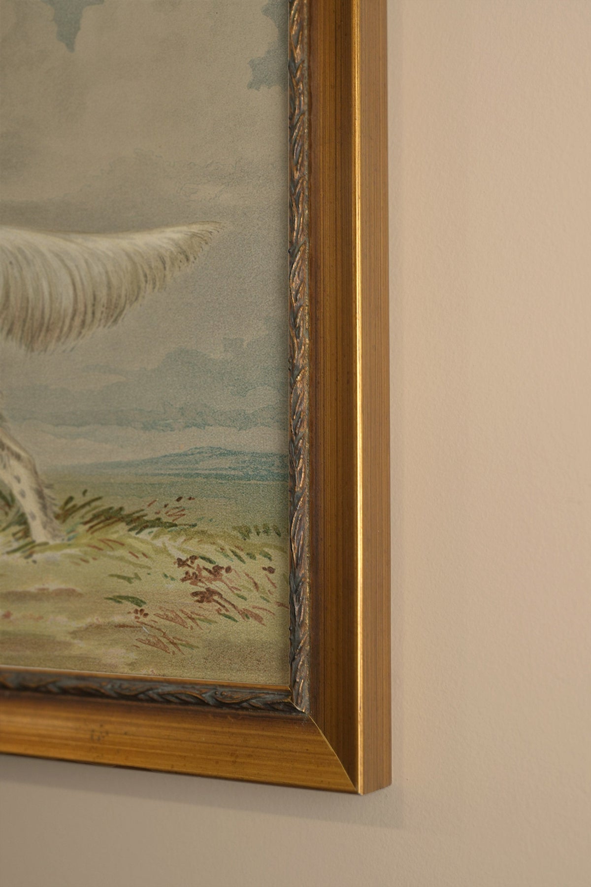 FAITHFUL COMPANION, CADRE VINTAGE OR
