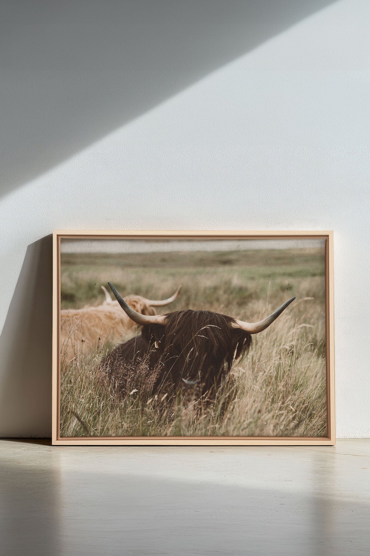 HIGHLAND SPIRIT, Oeuvre sur toile étirée