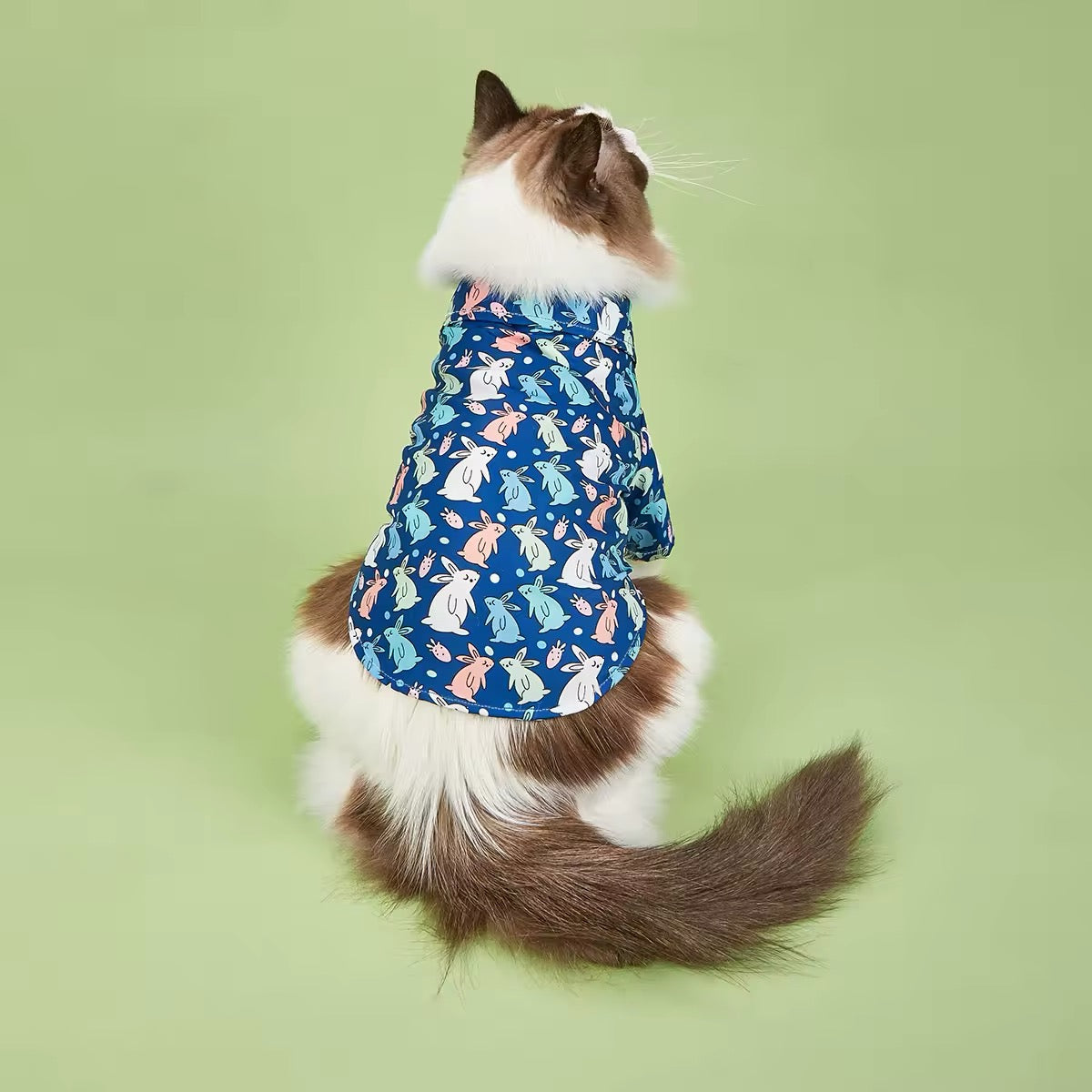 Easter Bunny Shirt – Festive Luxury Dog Shirt
