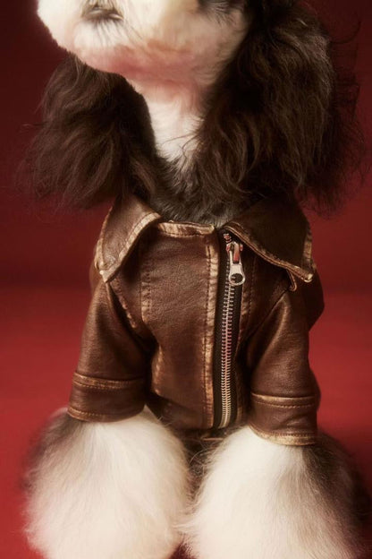 Lenny Dog Jacket | Dog Jacket for Cold Weather
