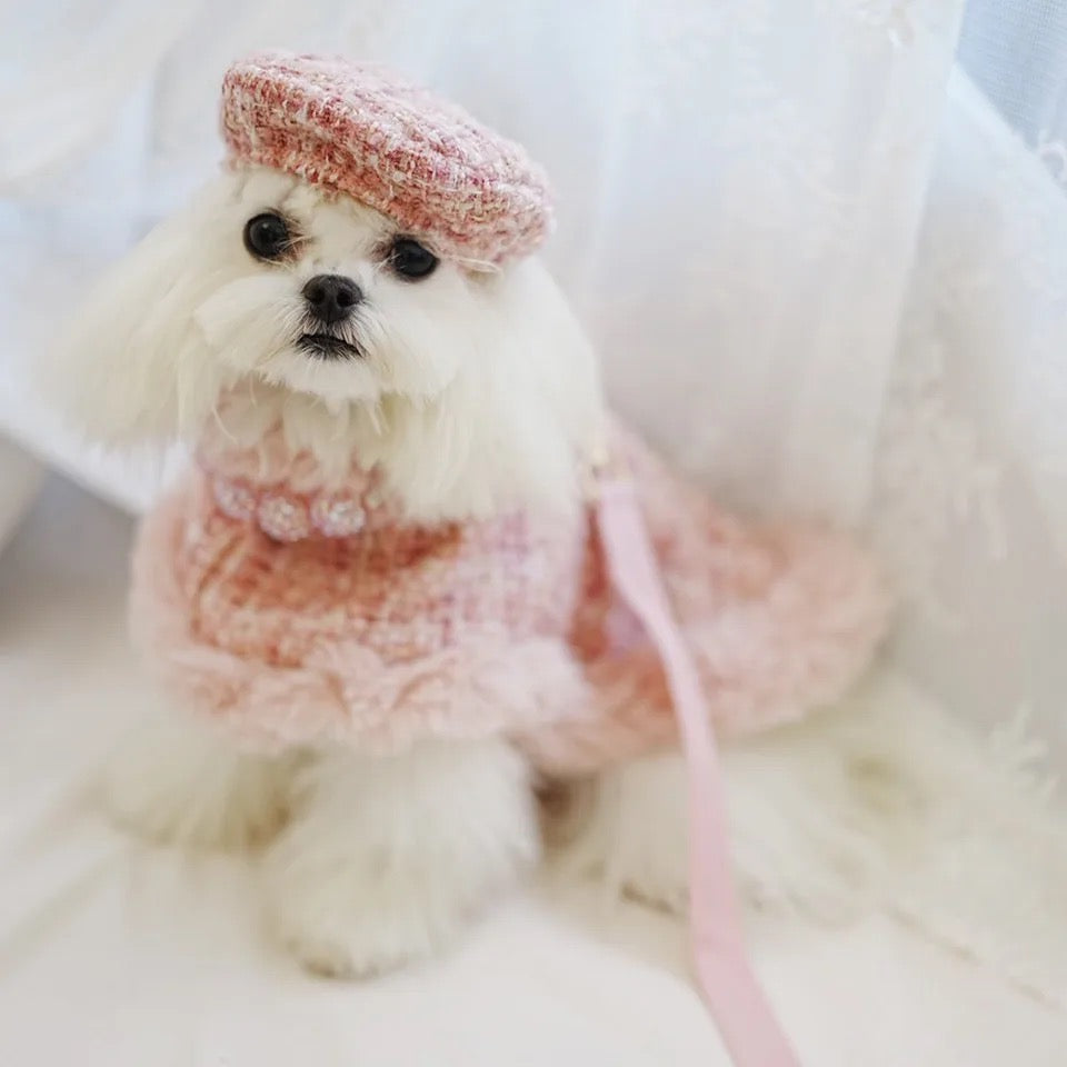 Missy Baby Tweed Dog Set | Classic Coordinated Dog Outfit