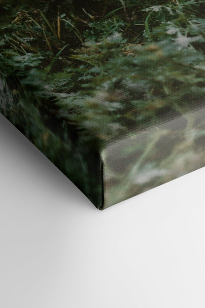 ROOTED SPIRIT, Oeuvre sur toile étirée