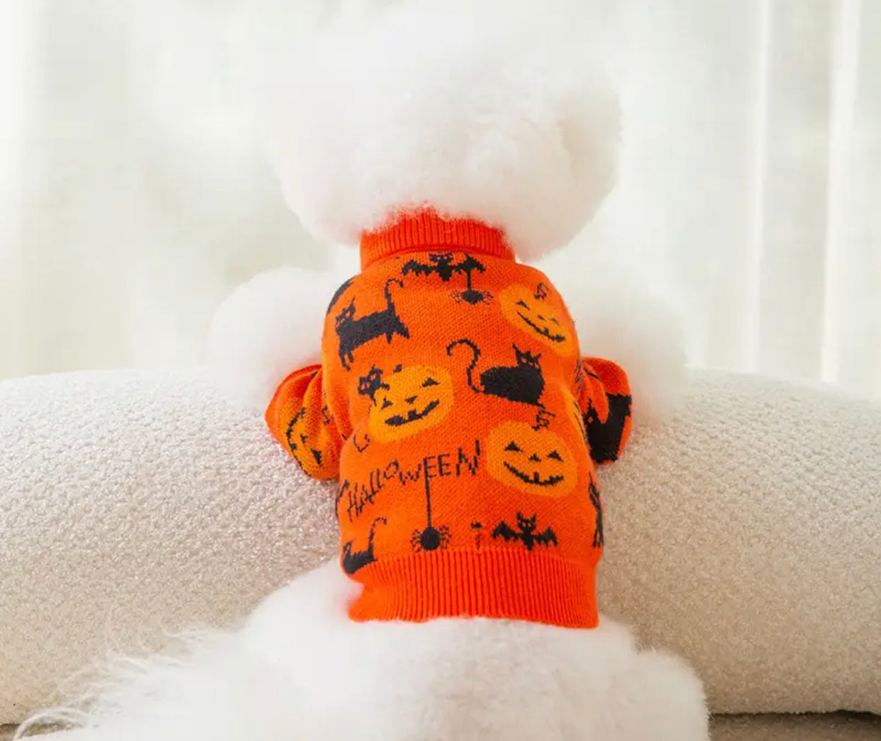 Pumpkin Bat Dog Sweater | Halloween Dog Costume