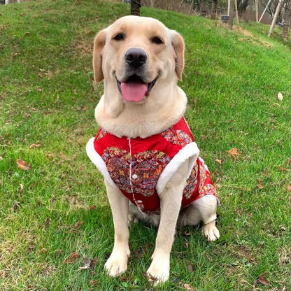 Lunar New Year Prosperity Brocade Dog Vest