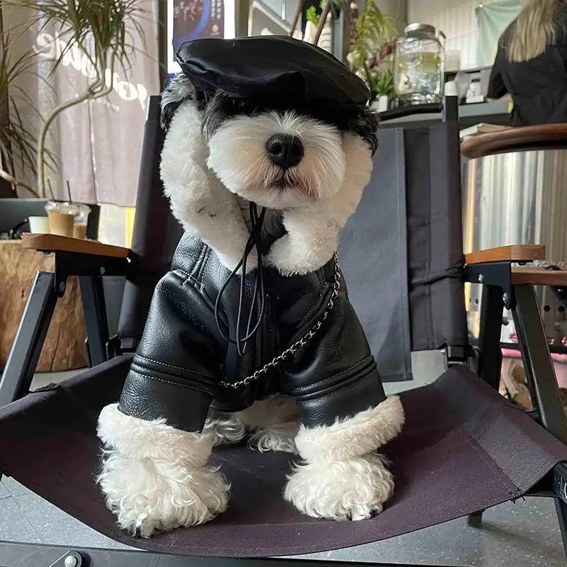 Leather Dog Jacket | Classic Dog Biker Jacket
