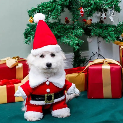 Santa Claws Is Coming Dog Outfit | Christmas Holiday Dog Outfit