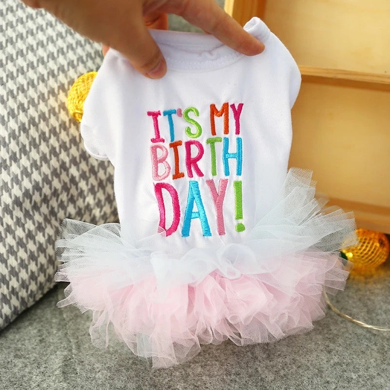 Birthday Suit Dog Dress – Luxury Celebration Outfit for Dogs