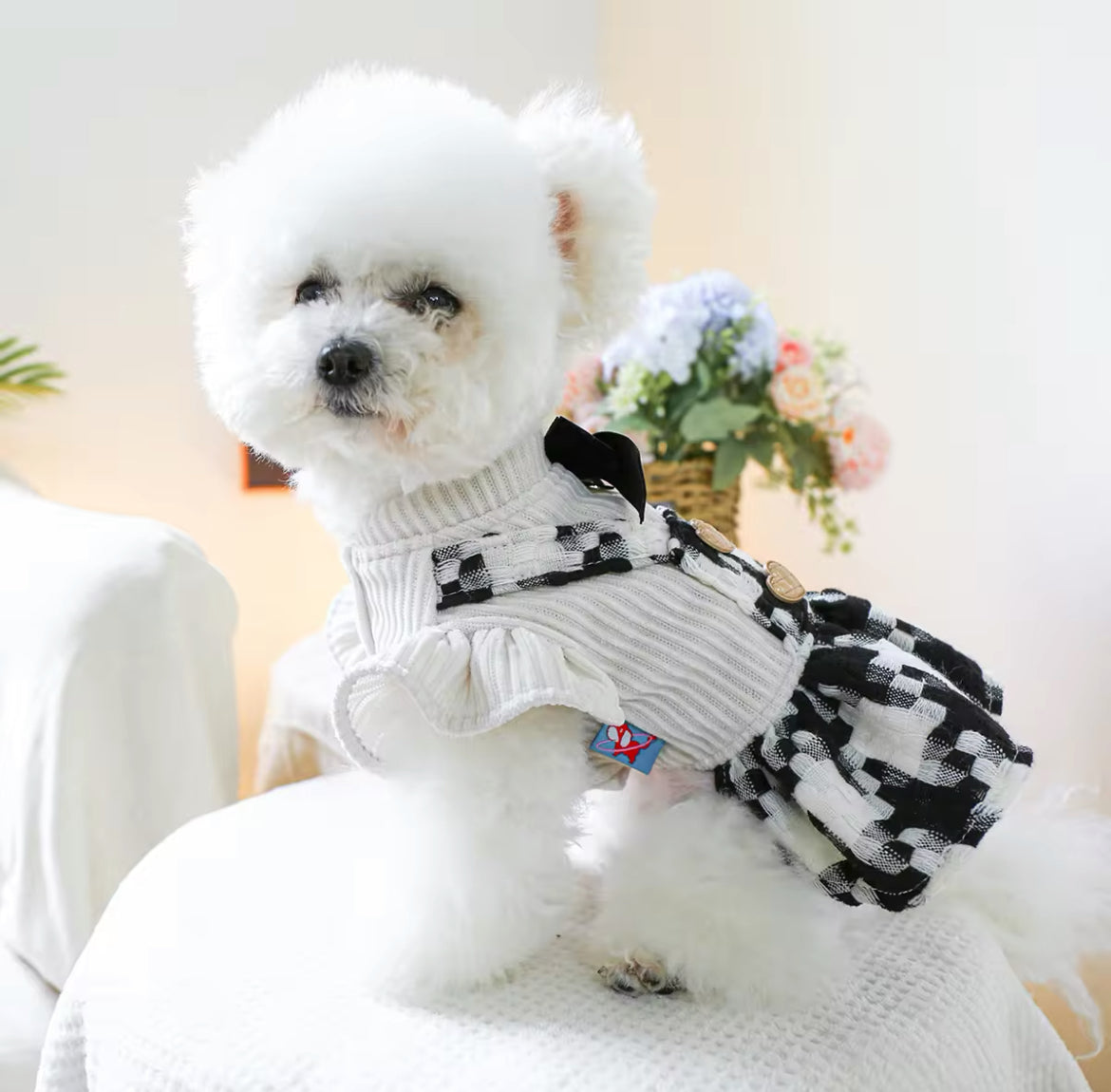 Lisa Dog Dress | Dog Dress for Special Occasions