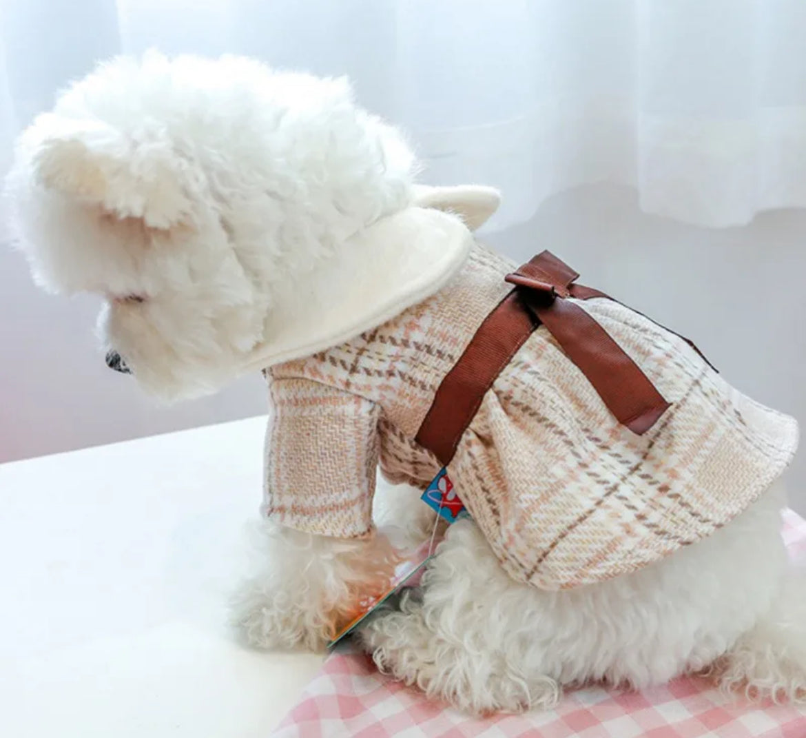 Fiona Dog Dress | Dog Dress for Special Occasions