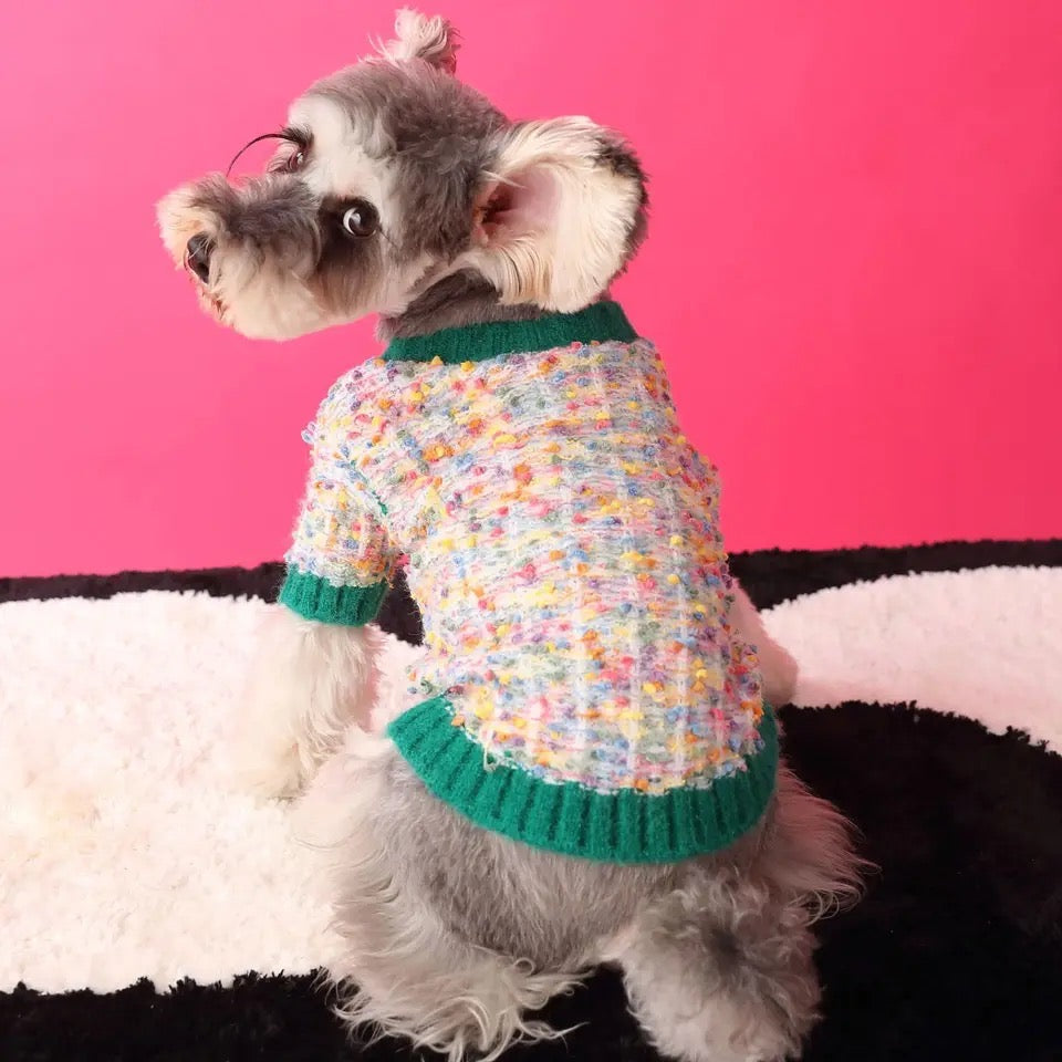 Evergreen Classic Knit Dog Sweater | Warm Everyday Dog Sweater
