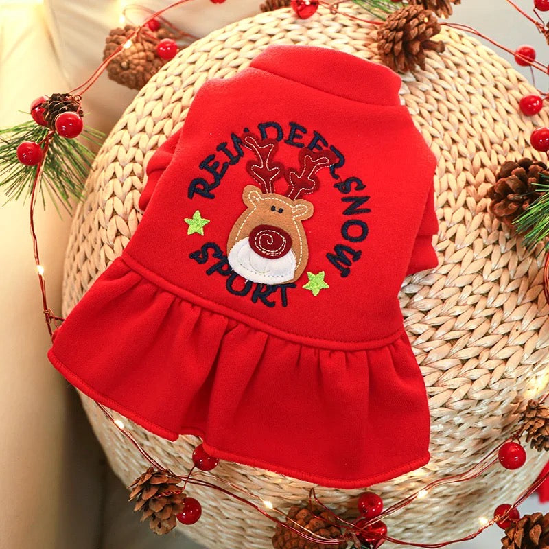 Reindeer Wishes Holiday Dog Dress | Christmas Occasion Outfit
