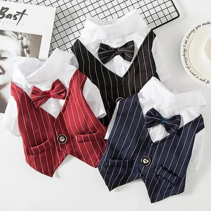 Tuxedog Suit – Luxury Formal Outfit for Dogs