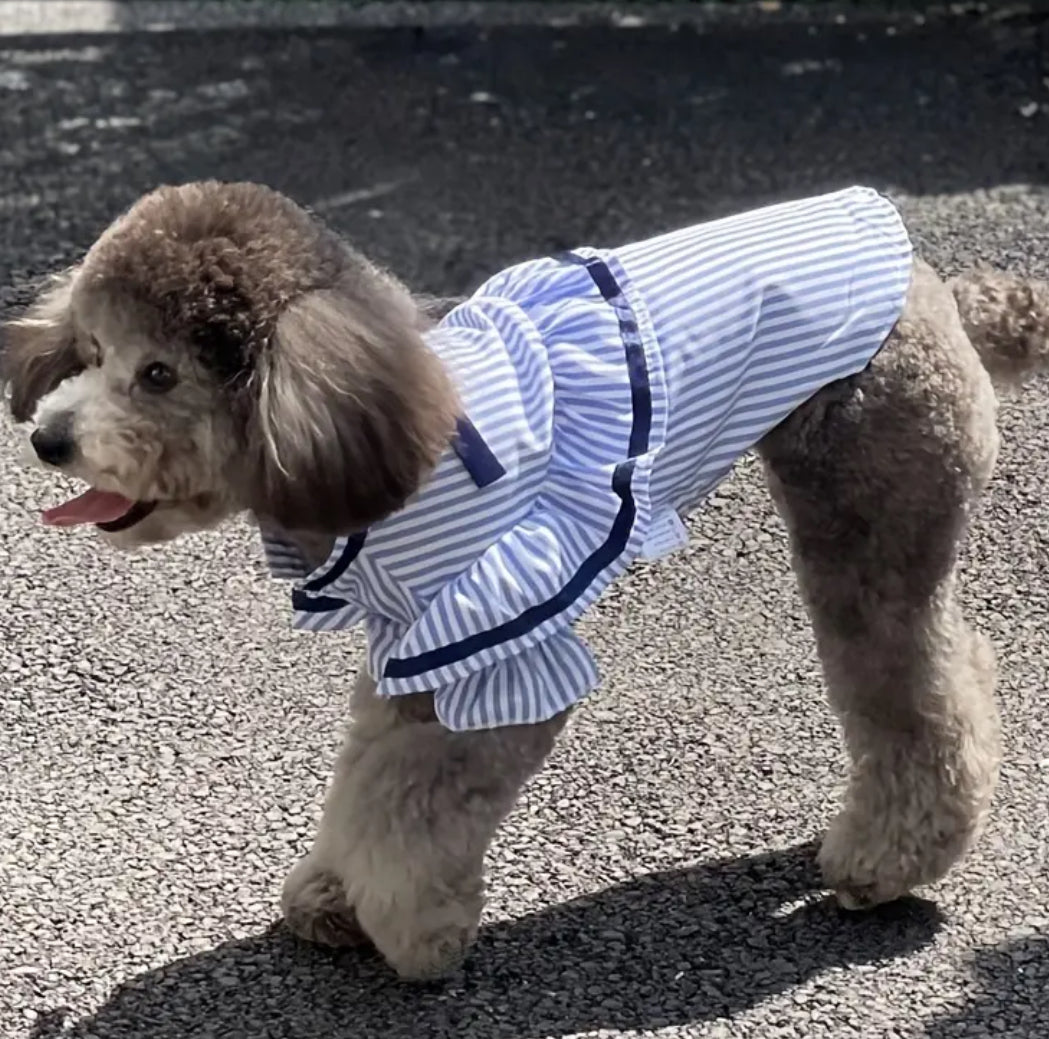 Naomi Dog Blouse | Stripe Detail Dog Top