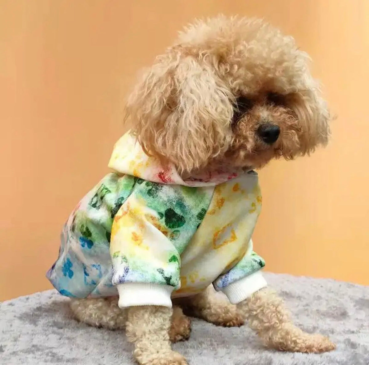 Tie Dye Dog Hoodie | Dog Hoodie