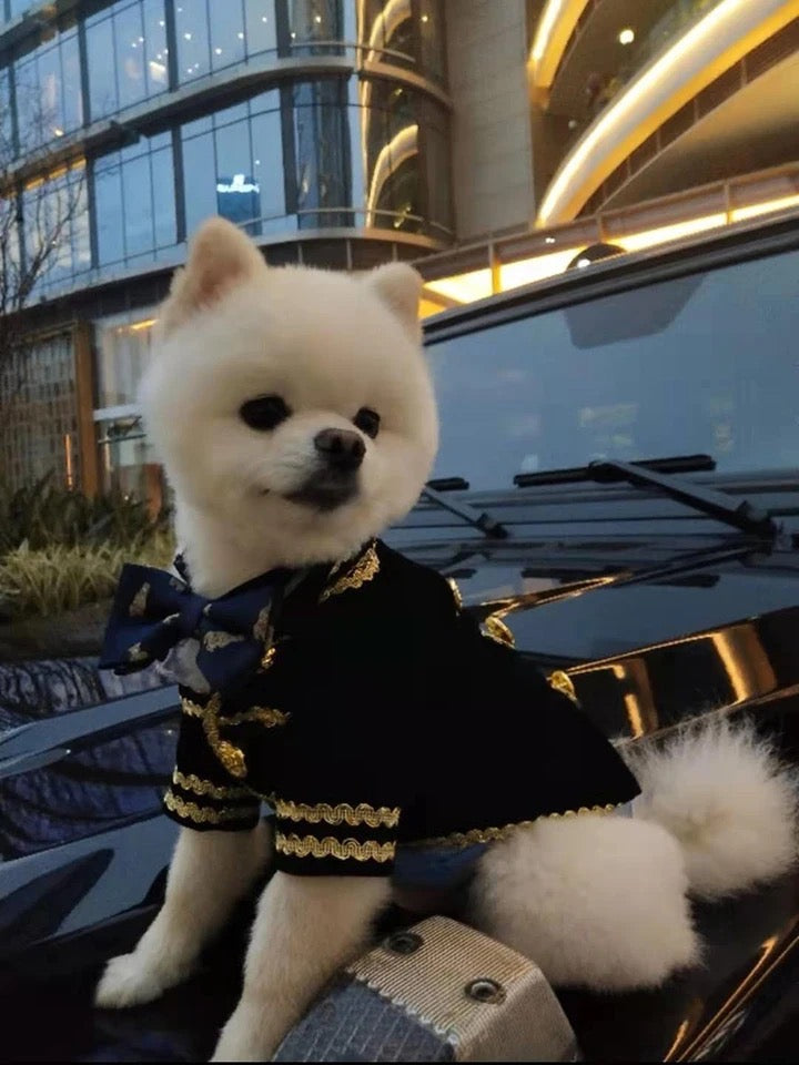 Captain Classic Dog Suit | Formal Occasion Dog Outfit