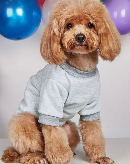 Shark Bait Dog Shirt | Graphic Dog T-Shirt