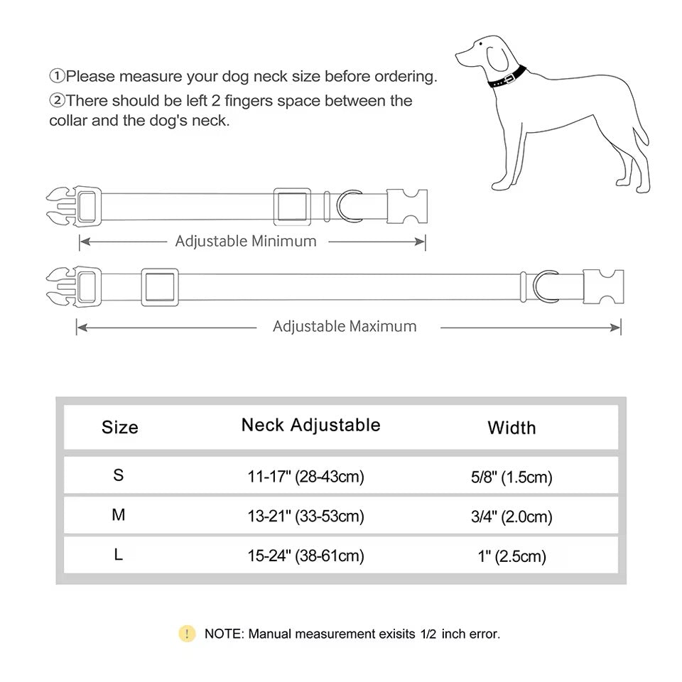 Halloween Dog Collar | Seasonal Dog Collar