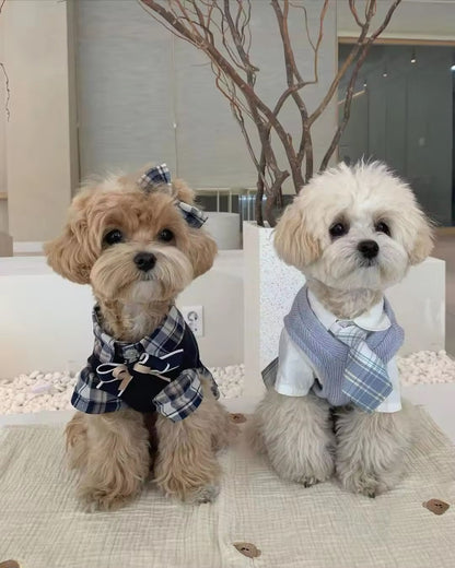 Fiona Set – Luxury Plaid Outfit Set for Dogs