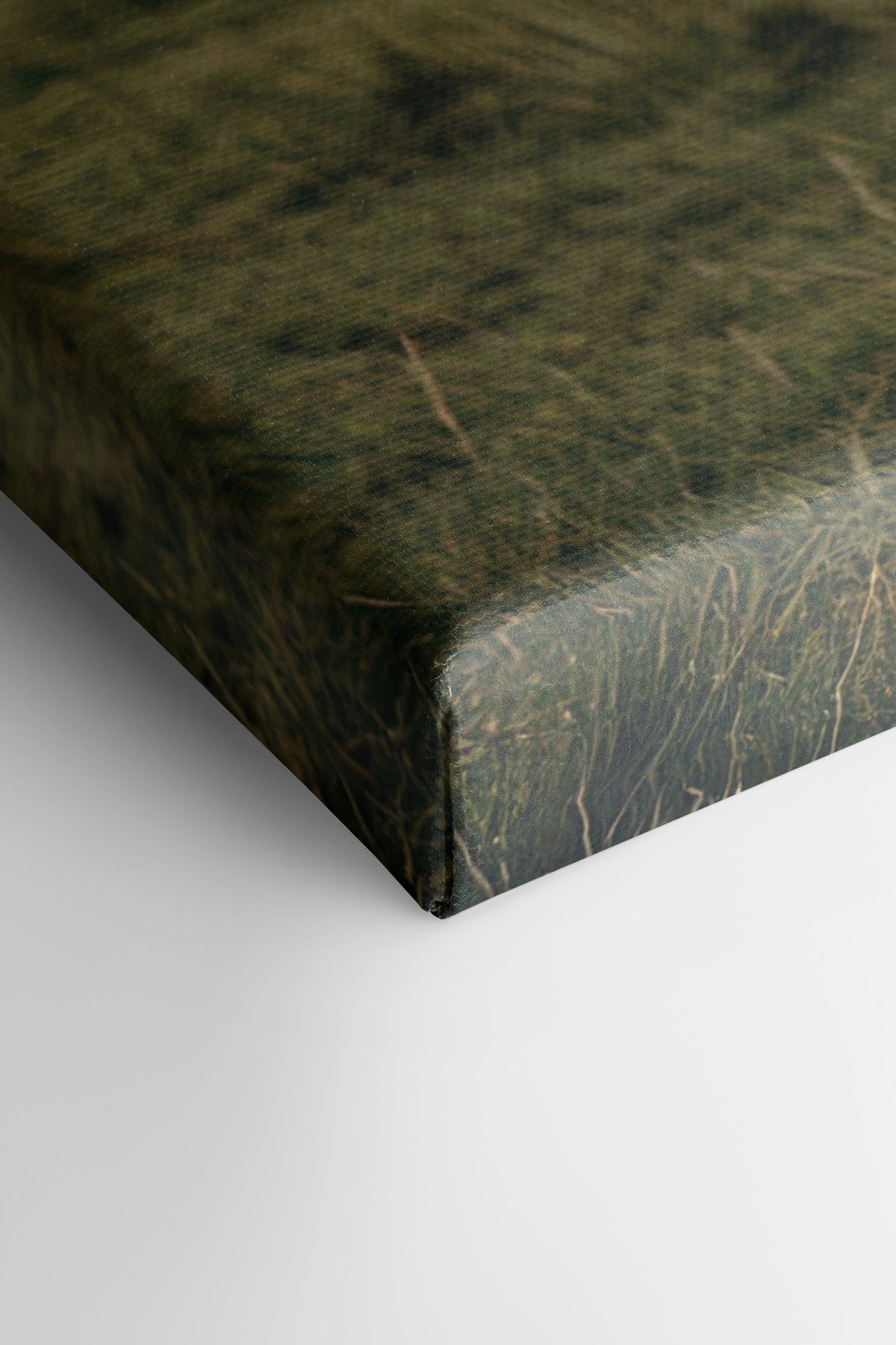 SPIRIT OF THE MEADOW, Oeuvre sur toile étirée