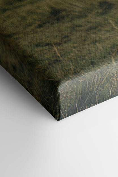SPIRIT OF THE MEADOW, Oeuvre sur toile étirée