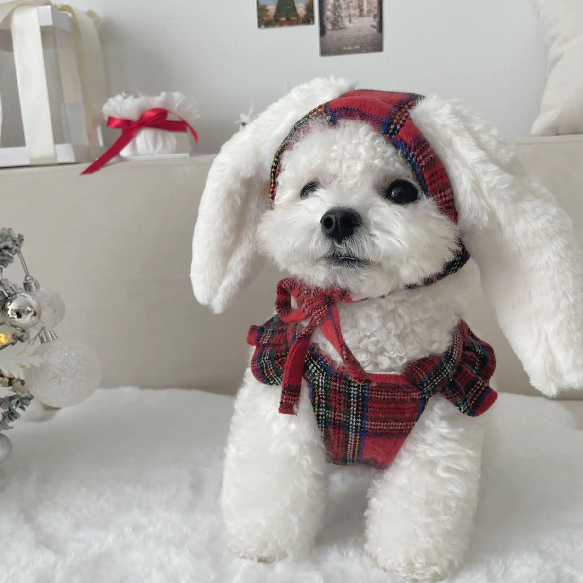 Winter Bunny Dress for Dogs – Red Plaid Dog Dress with Hat