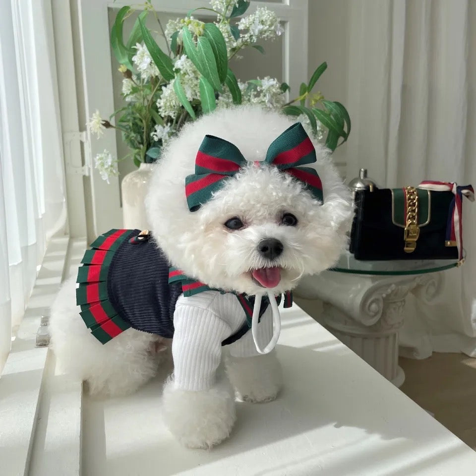 Gigi Dress Set with Bow – Dog Dress Set
