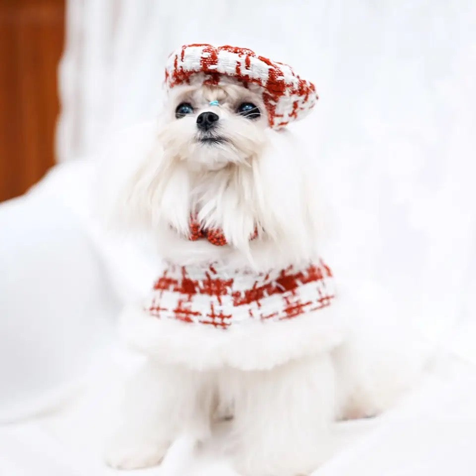 Miss Claws Holiday Tweed Dog Set | Harness Leash and Hat Outfit