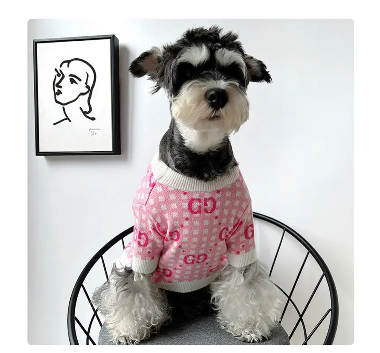 Dog Knit Sweater | Gigi Luxury Dog Sweater