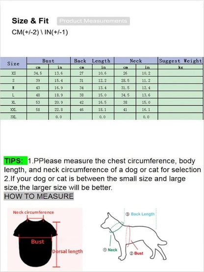 Witch Hat Dog Dress | Halloween Costume