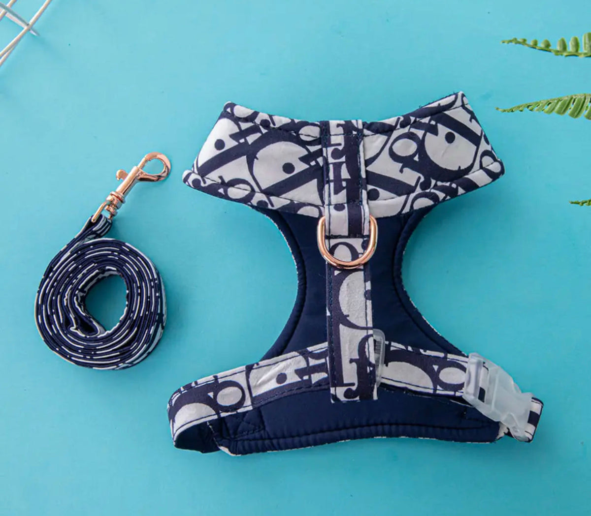 Diorella Classic Dog Harness and Leash Set | Everyday Walking Essentials