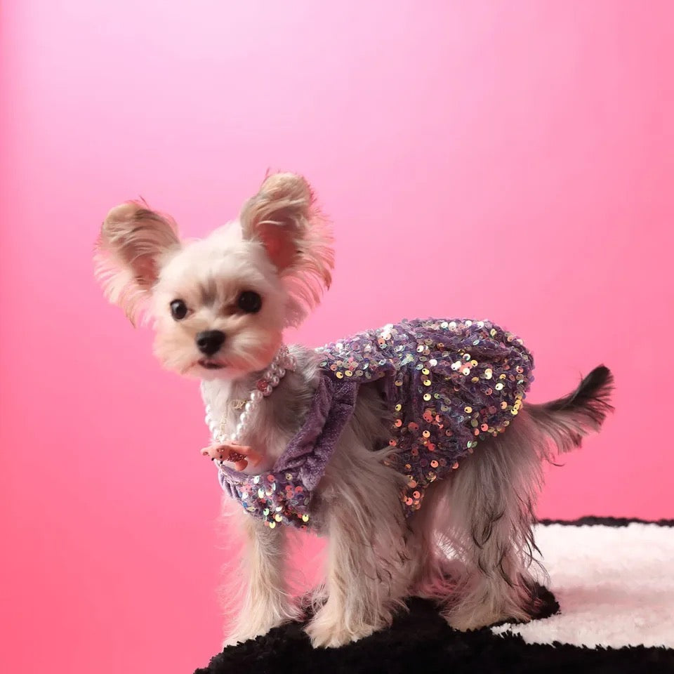 New Years Lover Sequin Dog Dress | Luxury Party Pet Dress