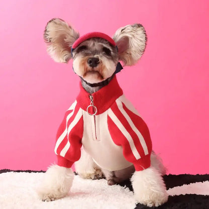 Dog Racing Jacket | Race Car Driver Dog Jacket