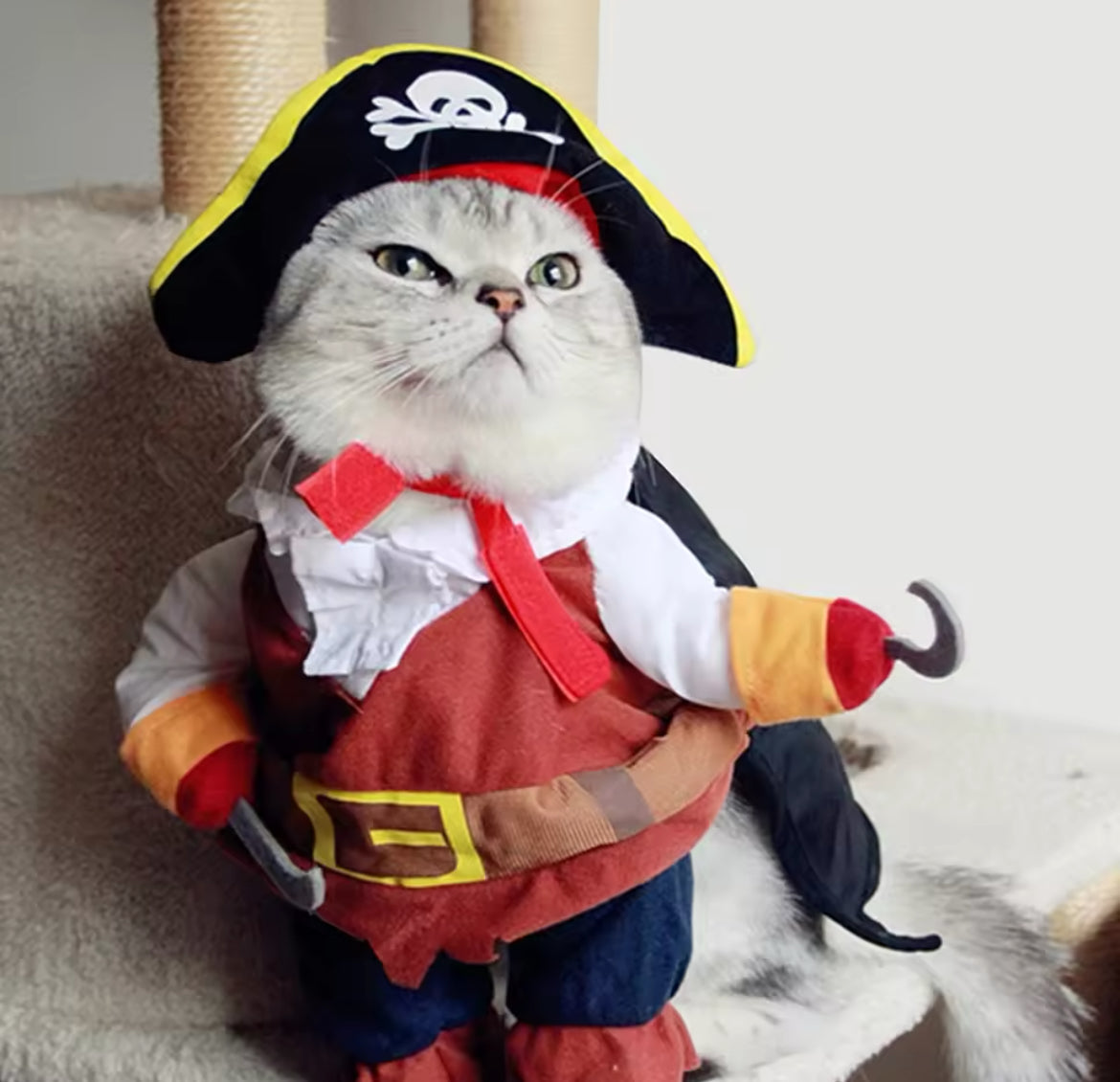 Pirate Halloween Dog Costume – Spooky Adventure Outfit for Dogs