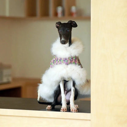 Oh She Fancy Dog Coat | Tweed Dog Coat