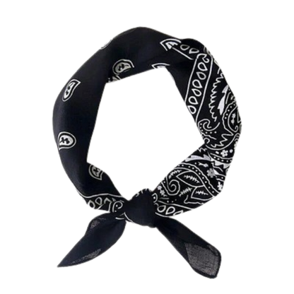 Europe Bound Bandanas 5 pack