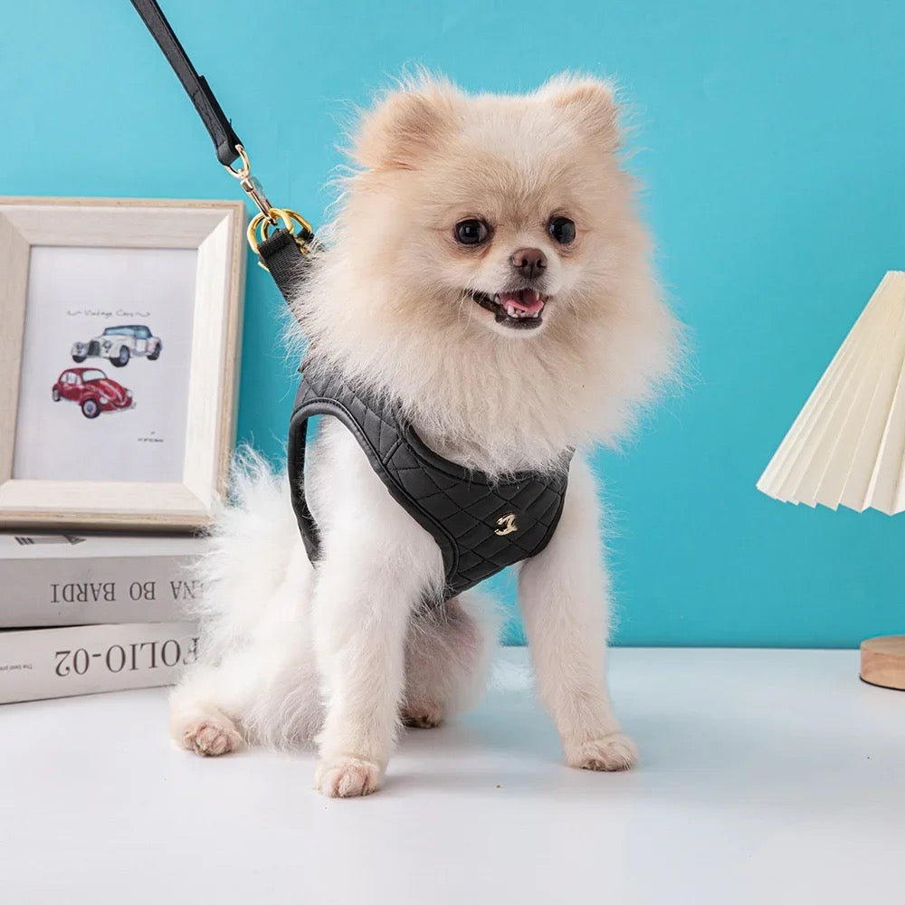 Chewnel Harness Set | Dog Harness Leash Set