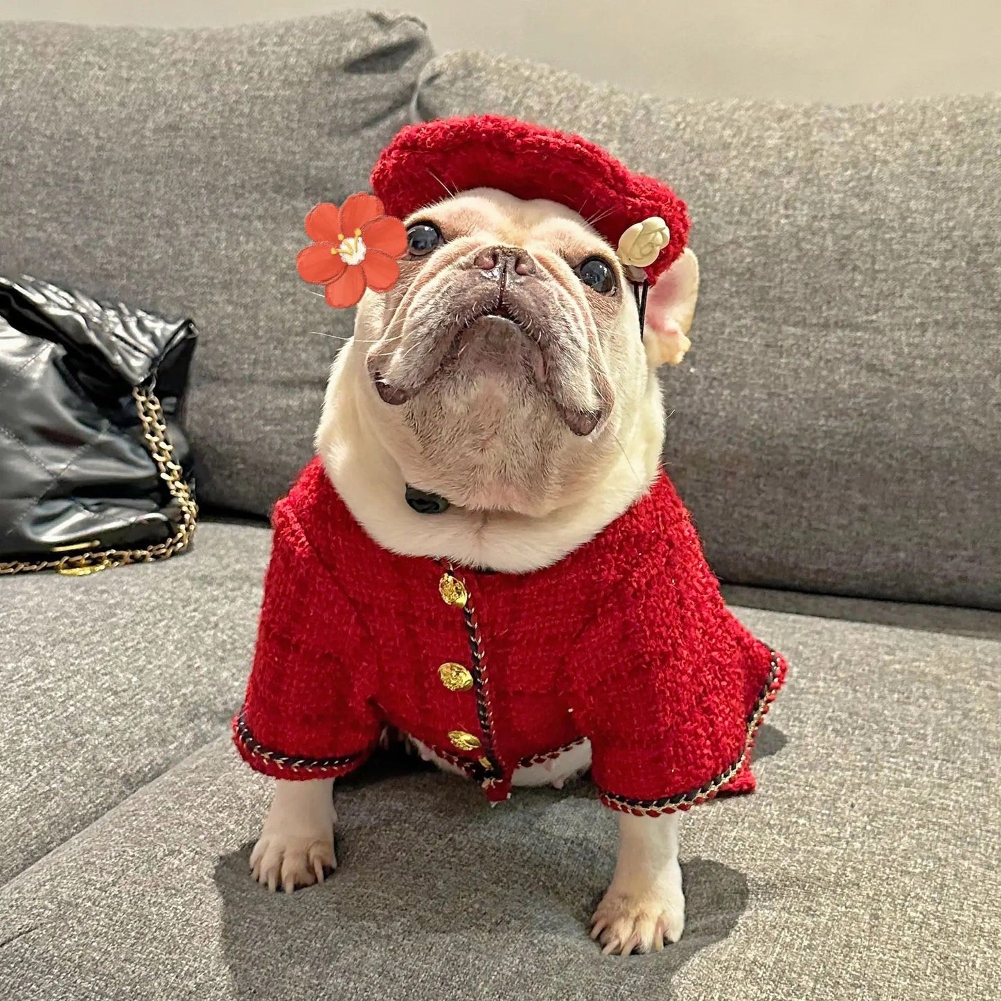 Dog Dress & Hat Set | Chewnel Tweed Dog Outfit