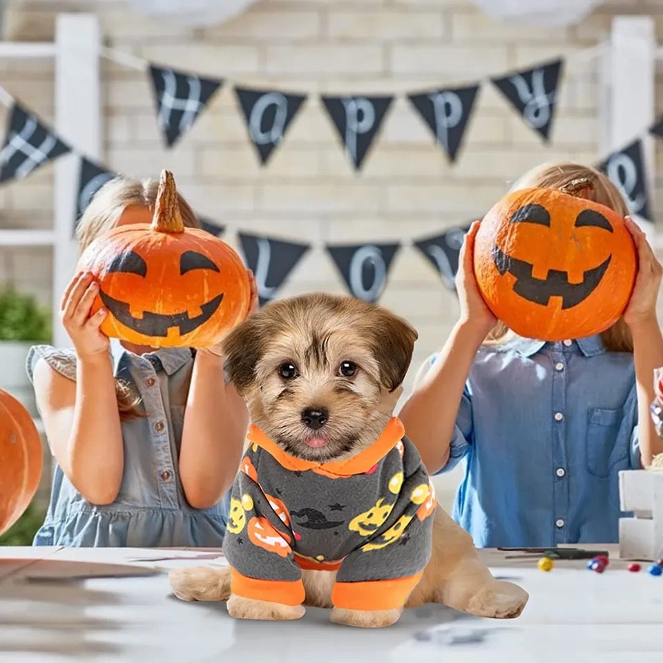 Halloween Dog Sweater – Pumpkin Fall Pet Apparel
