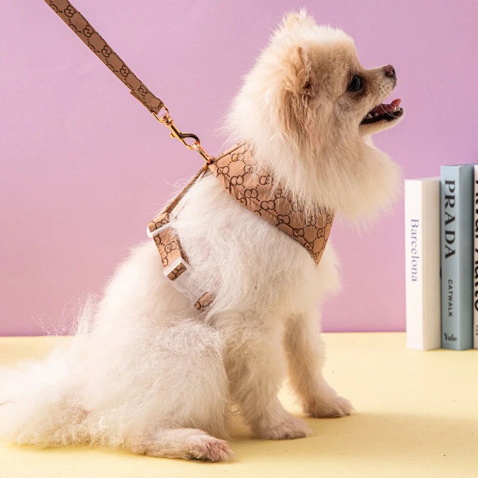 Gigi Everyday Dog Harness and Leash Set | Coordinated Walking Essentials