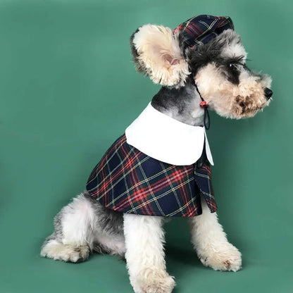 Dog Cloak & Hat Set | Vancouver Plaid Dog Outfit
