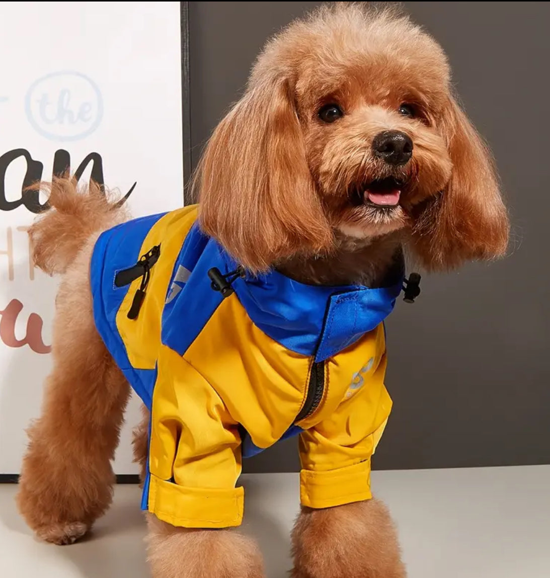 Tyson Dog Jacket | Dog Jacket for Cold Weather