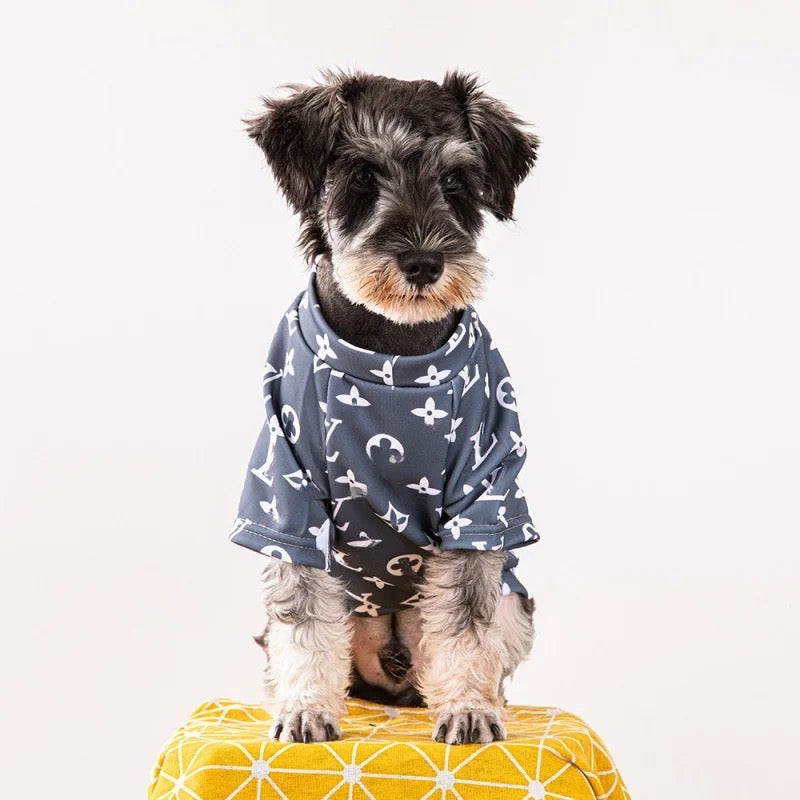 Chewy Pawtton Dog Sweater | Graphic Knit Dog Sweater