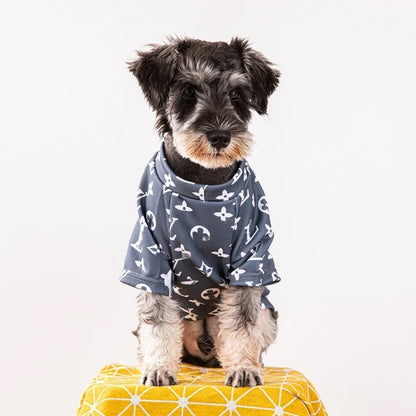 Chewy Pawtton Dog Sweater | Graphic Knit Dog Sweater
