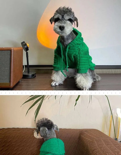 Dog Knit Sweater | Pawtega Venetaw Dog Sweater